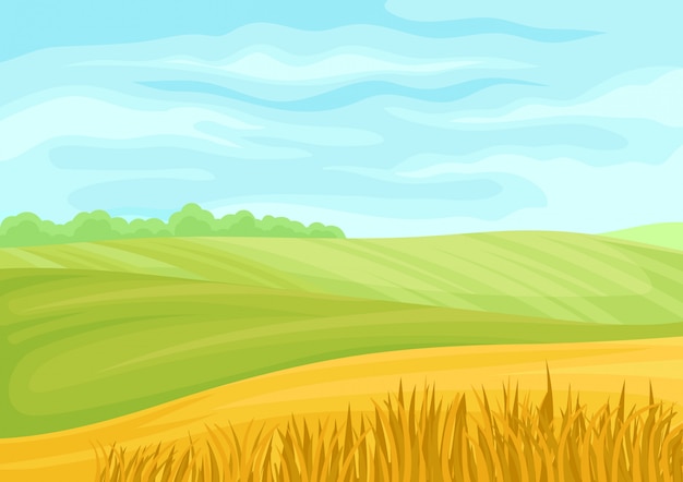 Вектор Красивый ландшафт зеленых лугов и желтых полей.