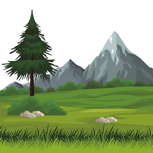 Vector beautiful landscape scenery