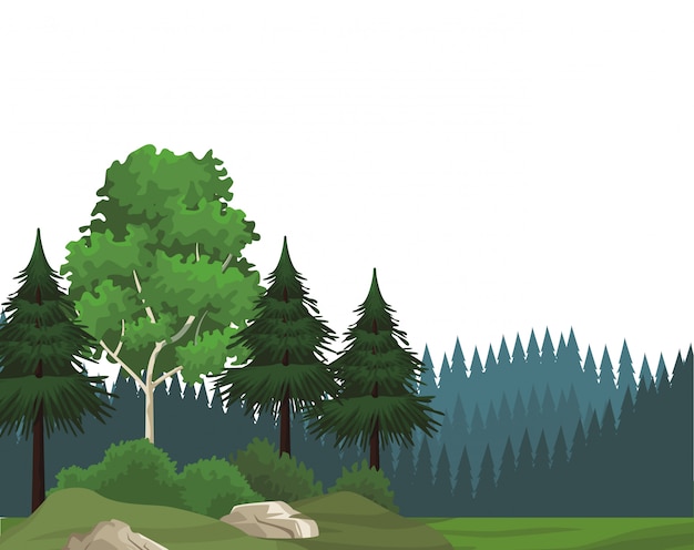 Vector beautiful landscape scenery