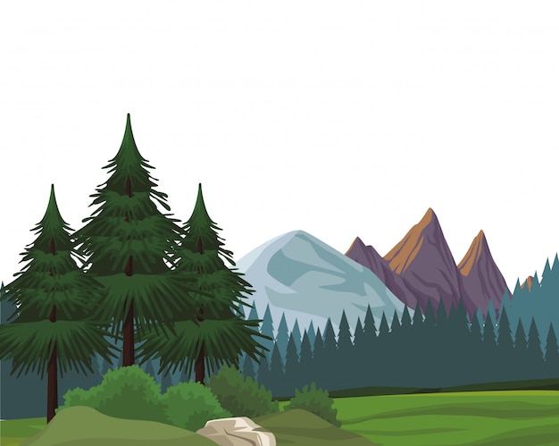 Vector beautiful landscape scenery