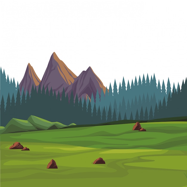 beautiful landscape scenery