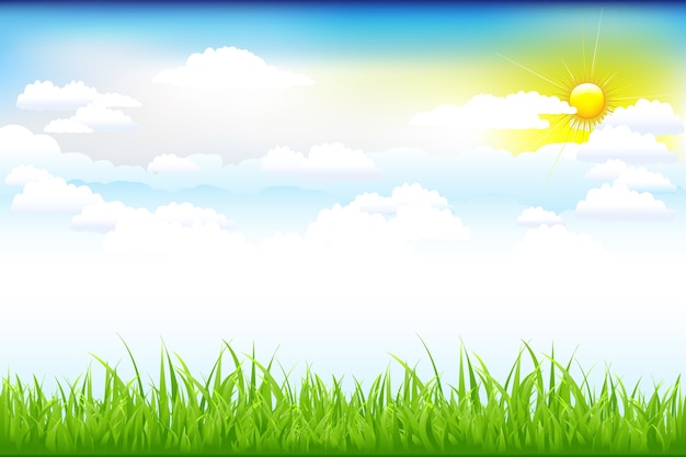 Beautiful landscape with green grass and blue sky, clouds and sun