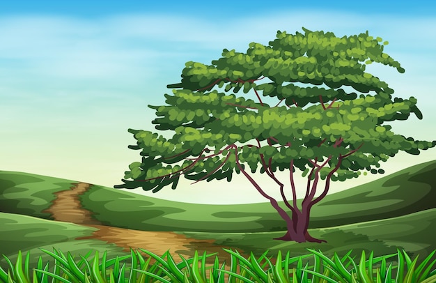 Vector a beautiful landscape with a tall tree