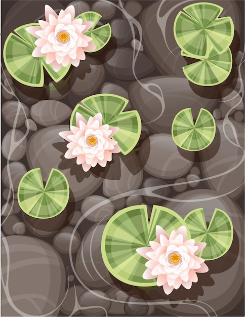 Vector beautiful lily lotus with green leaves on transparent water and stone bottom flat vector illustration