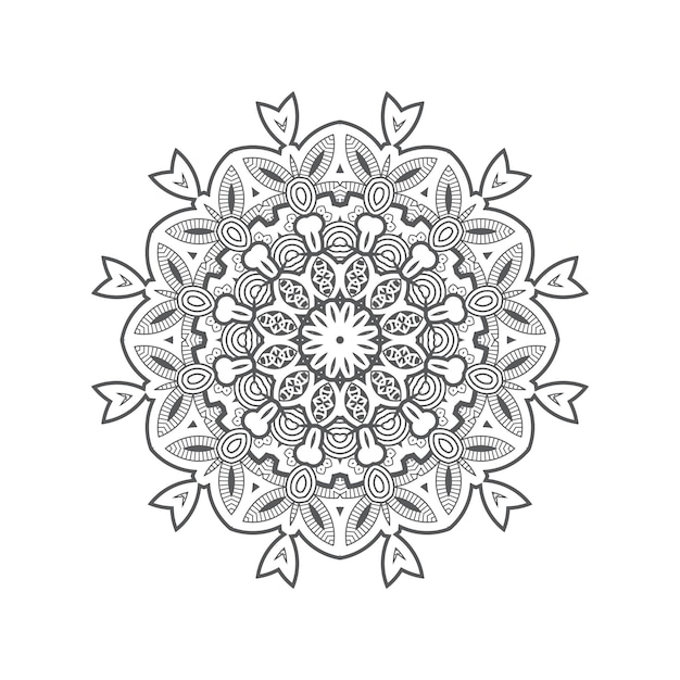 beautiful line art mandala vector