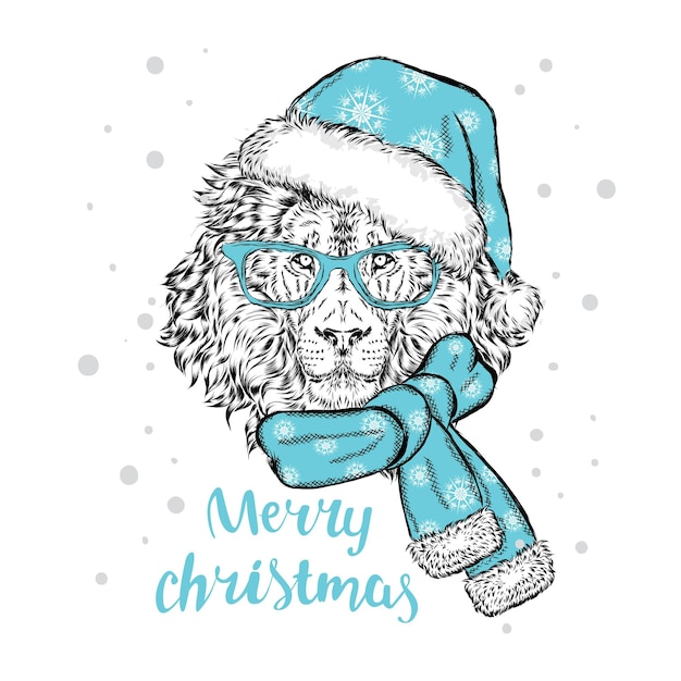 Beautiful lion in christmas clothes and new year