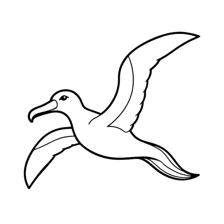 Vector beautiful logotype realistic bird vector illustration isolated on a white background