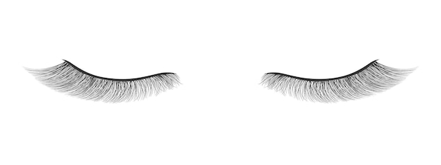 Beautiful long extended eyelashes closed eye beautiful makeup thick black eyelashes mascara for