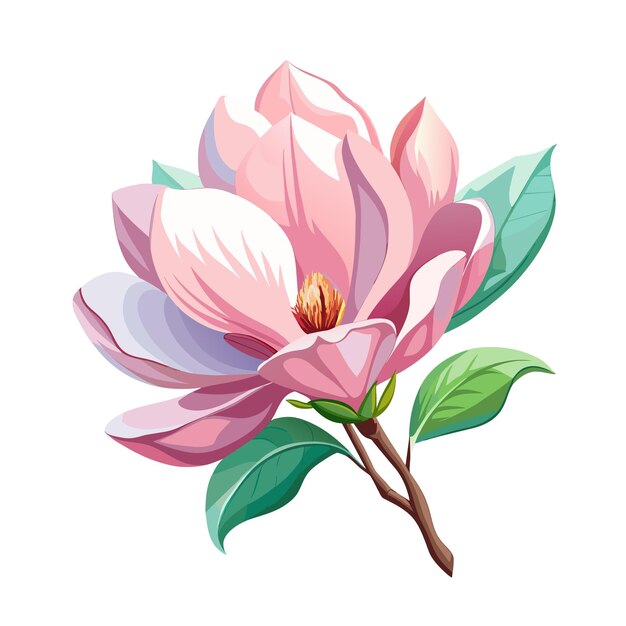 Beautiful magnolia flower art drawn on white background