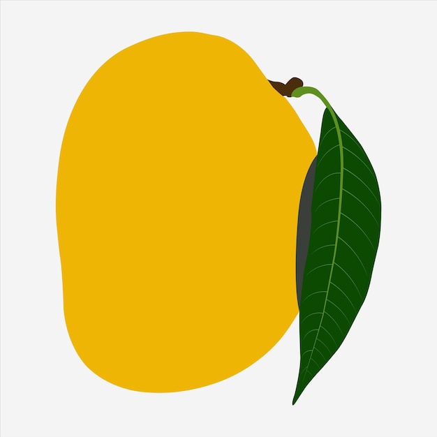 Vettore una bellissima grafica vettoriale di frutto di mango