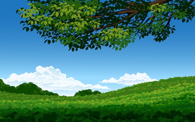 Vector beautiful meadow illustration with tree