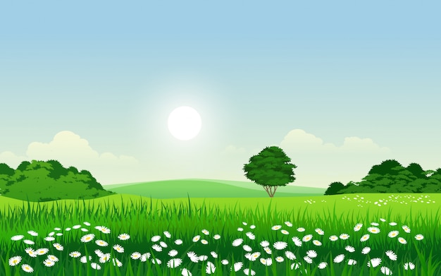 Vector beautiful morning in countryside with flowers green grassfield