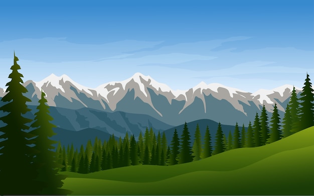 Vector beautiful mountain and pine forest background