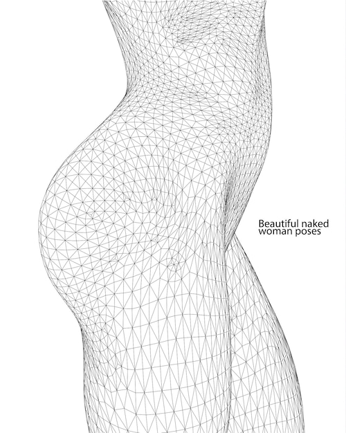 Bella donna nuda posa corpo femminile 3d wireframe vettore