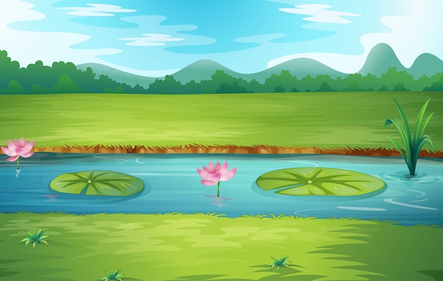 beautiful nature river landscape
