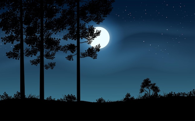 Vector beautiful night in pine forest with moon and sky full of stars