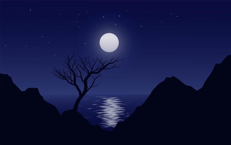 Vector beautiful night silhouette with moonlight