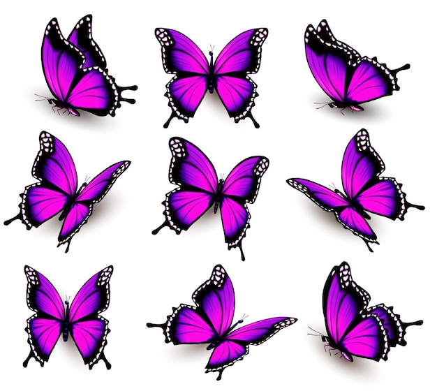 ベクトル さまざまな位置にあるピンクの蝶の美しい。ベクター。