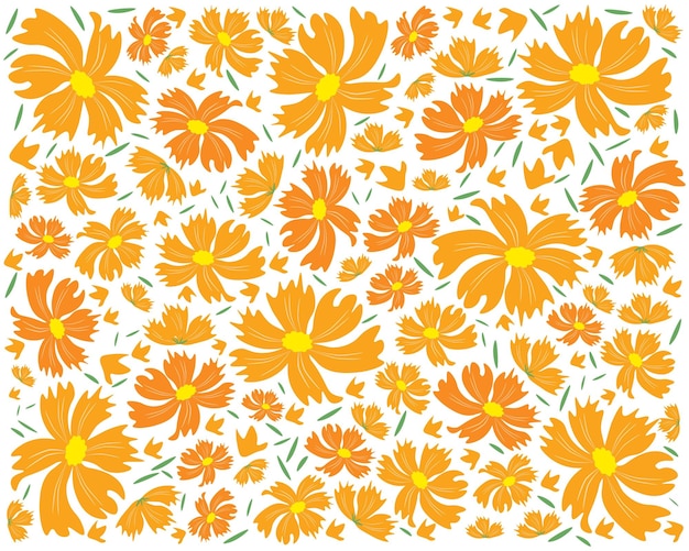 Beautiful Orange Cosmos Flowers Background