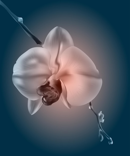 beautiful orchid flowers vintage card sad mood