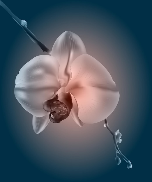 Vettore bellissimi fiori di orchidea carta d'epoca umore triste