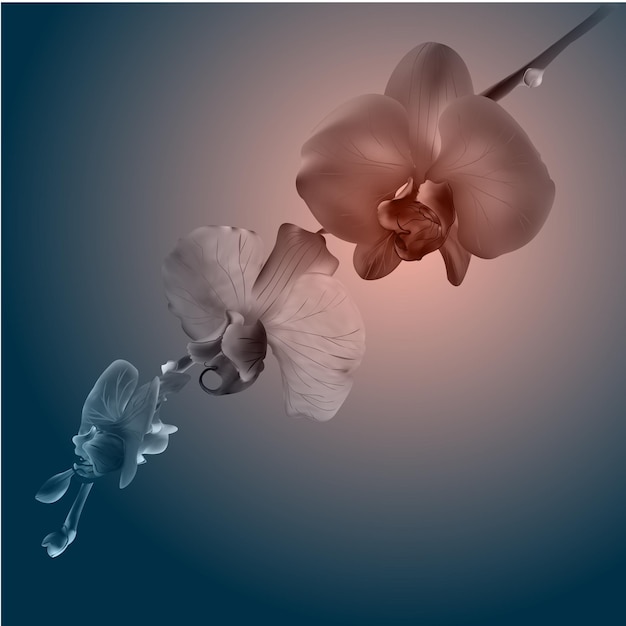 beautiful orchid flowers vintage card sad mood
