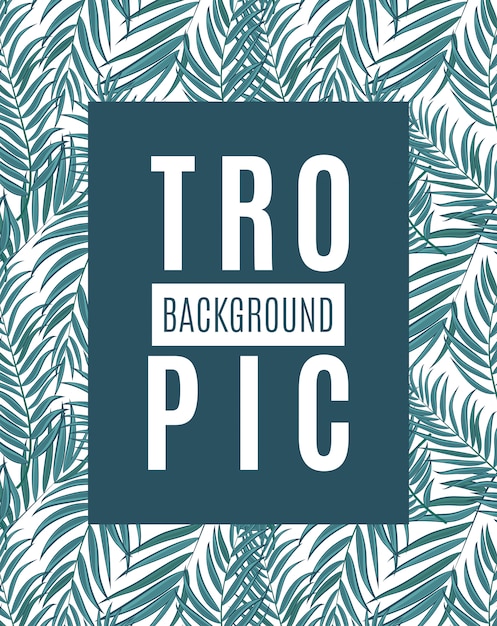 beautiful palm tree leaf tropical silhouette background