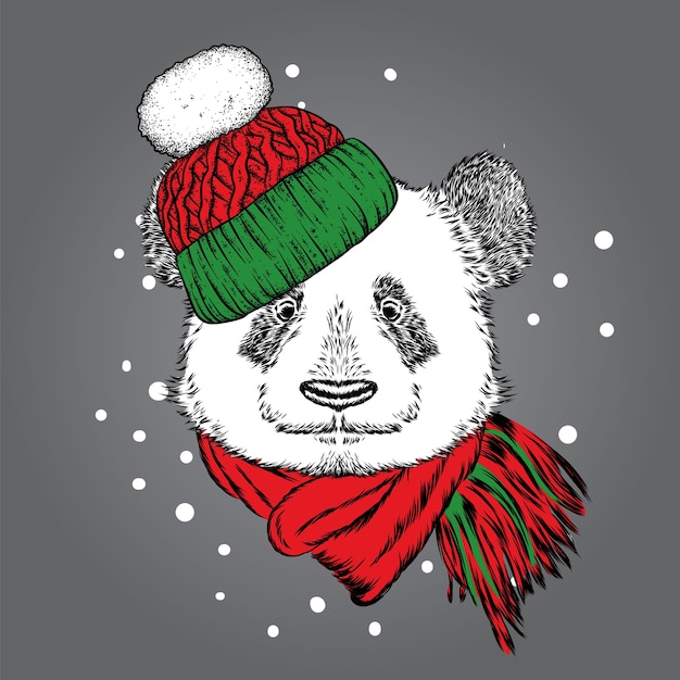 Bellissimo panda in un cappello di natale.