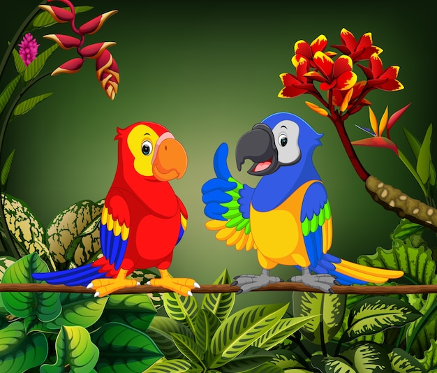 Красивые попугаи говорят на стебле
