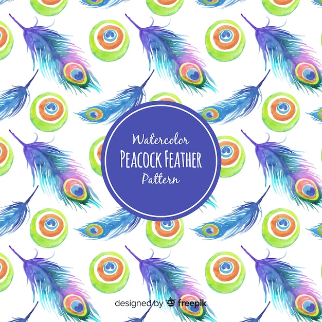 Vector beautiful peacock feather pattern