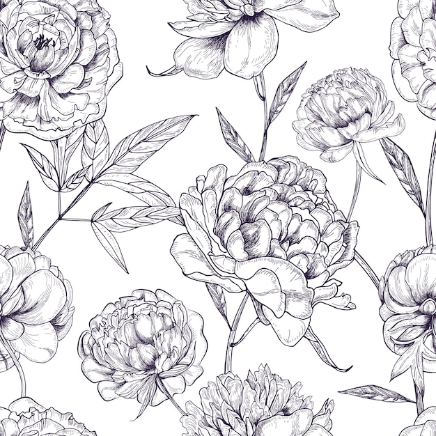 美しい牡丹のシームレスなパターン。手描きの花の花、つぼみ、葉。黒と白のイラスト。