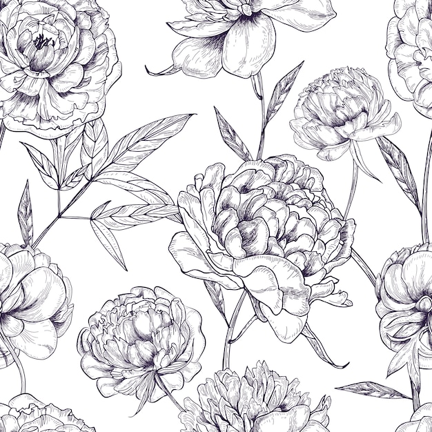 Beautiful peonies seamless pattern. hand drawn blossom flowers, buds and leaves. black and white  illustration.