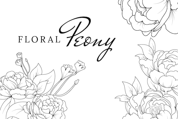 Vector beautiful peony flower outline