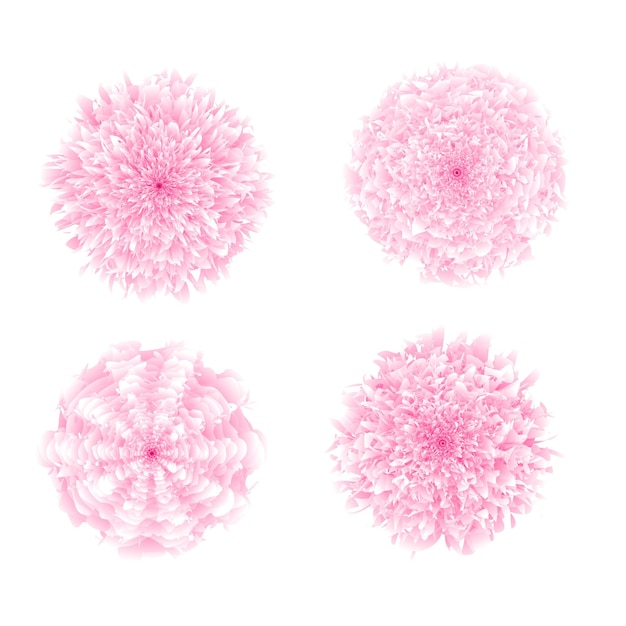 Beautiful pink Dahlia flower free vector