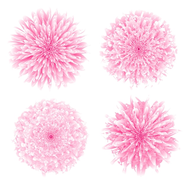 Vector beautiful pink dahlia flower free vector