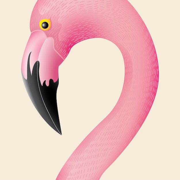 Vector beautiful pink flamingo