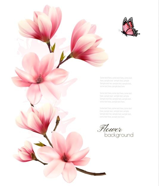 Vector beautiful pink magnolia background. vector.