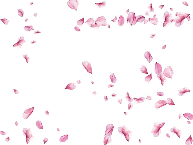 beautiful pink and purple flower petals gracefully falling against a white background creating a delicate and romantic atmosphere perfect for springthemed designs wedding invitations