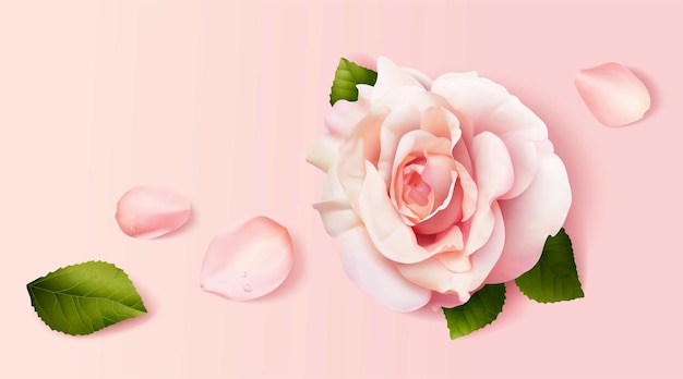 Vector beautiful pink rose