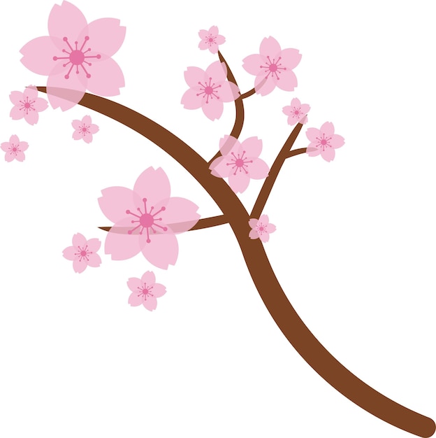 Beautiful pink Sakura Cherry Blossom illustration