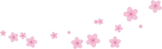 Beautiful pink Sakura Cherry Blossom illustration