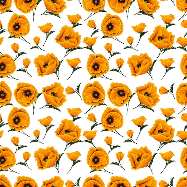 Vector beautiful poppy flower shop yellow poppy top view