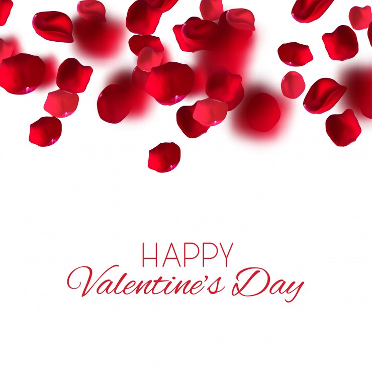 Vector beautiful premium illustration of congratulations on valentine's day. falling realistic rose petals . vector illustration.