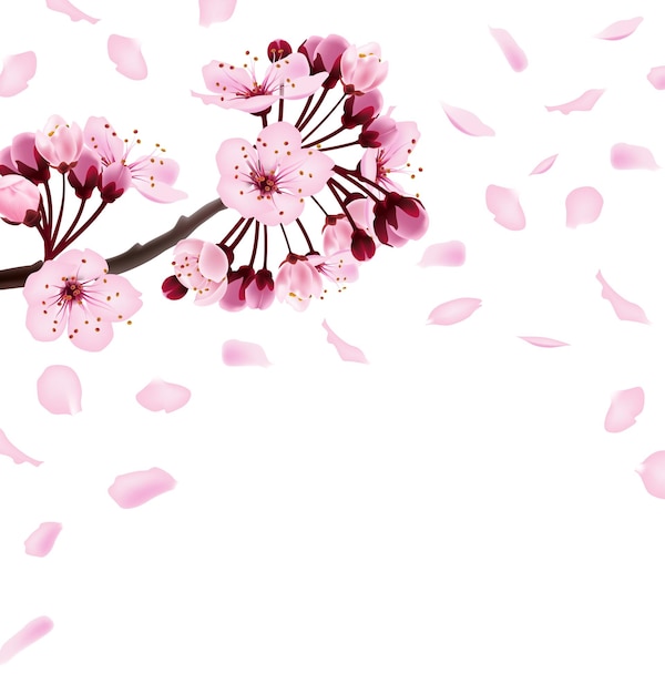 Beautiful print with blossoming dark and light pink sakura flowers spring background