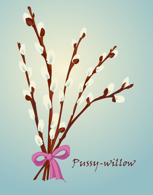 Vector beautiful pussy willow branches vintage style