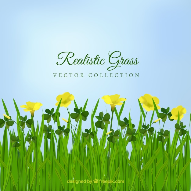 Vector beautiful realistic grass with yellow flowers