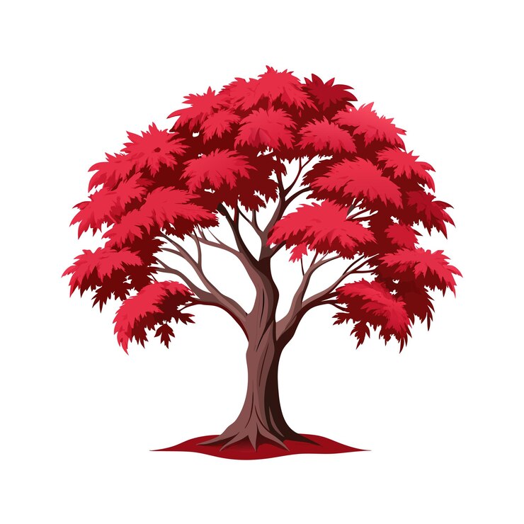 Vector beautiful realistic tree icon vector illustration isolated on a white background