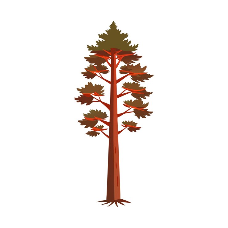 Vector beautiful realistic tree icon vector illustration isolated on a white background