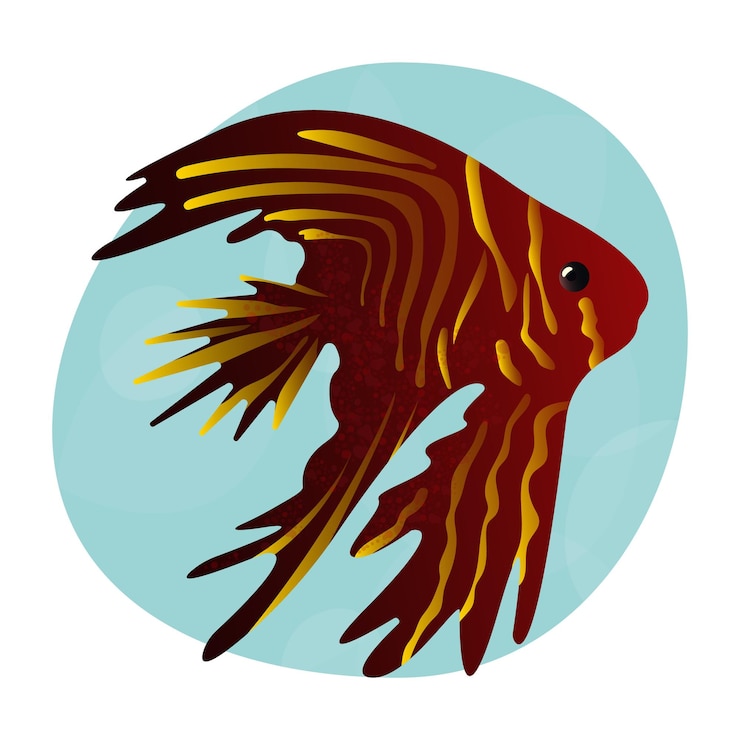 Vector beautiful realistic tropical betta fish sea fish