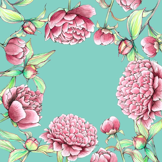 Vector beautiful rectangle peonies flowers border on mint background